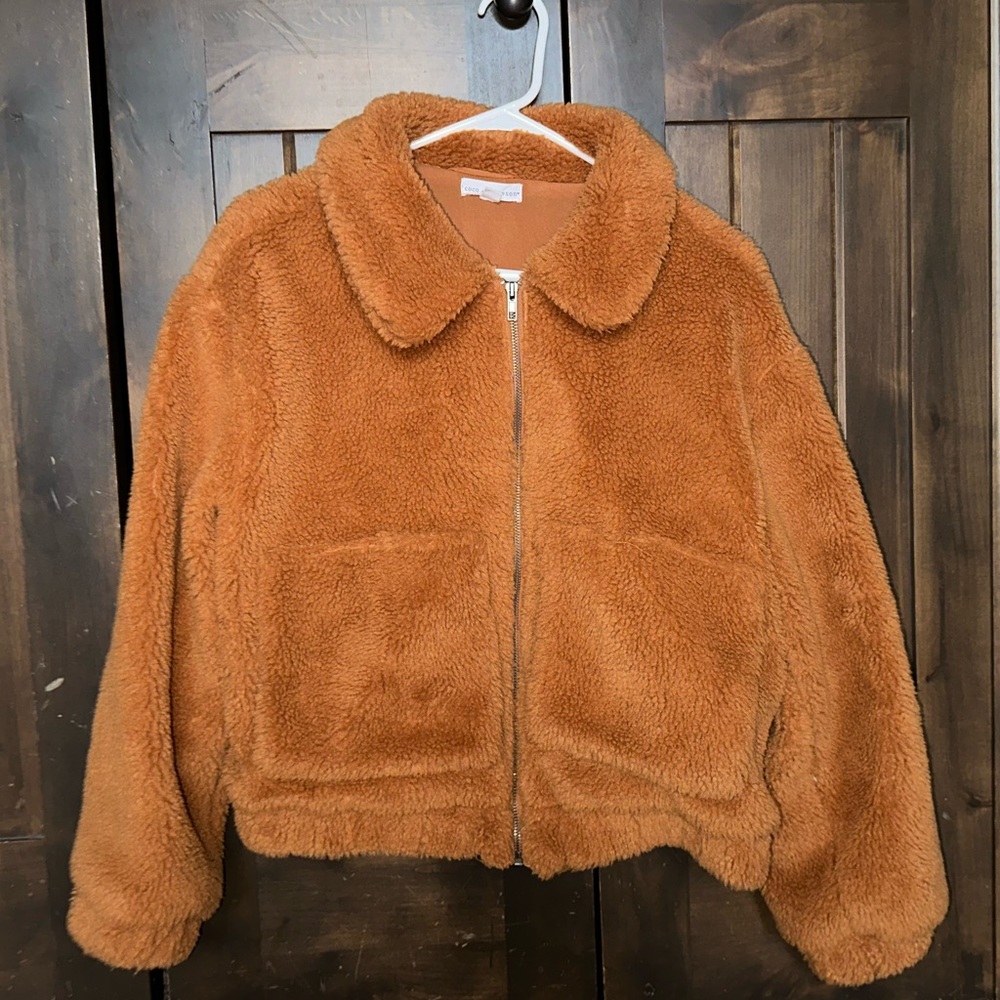 Teddy bear jacket